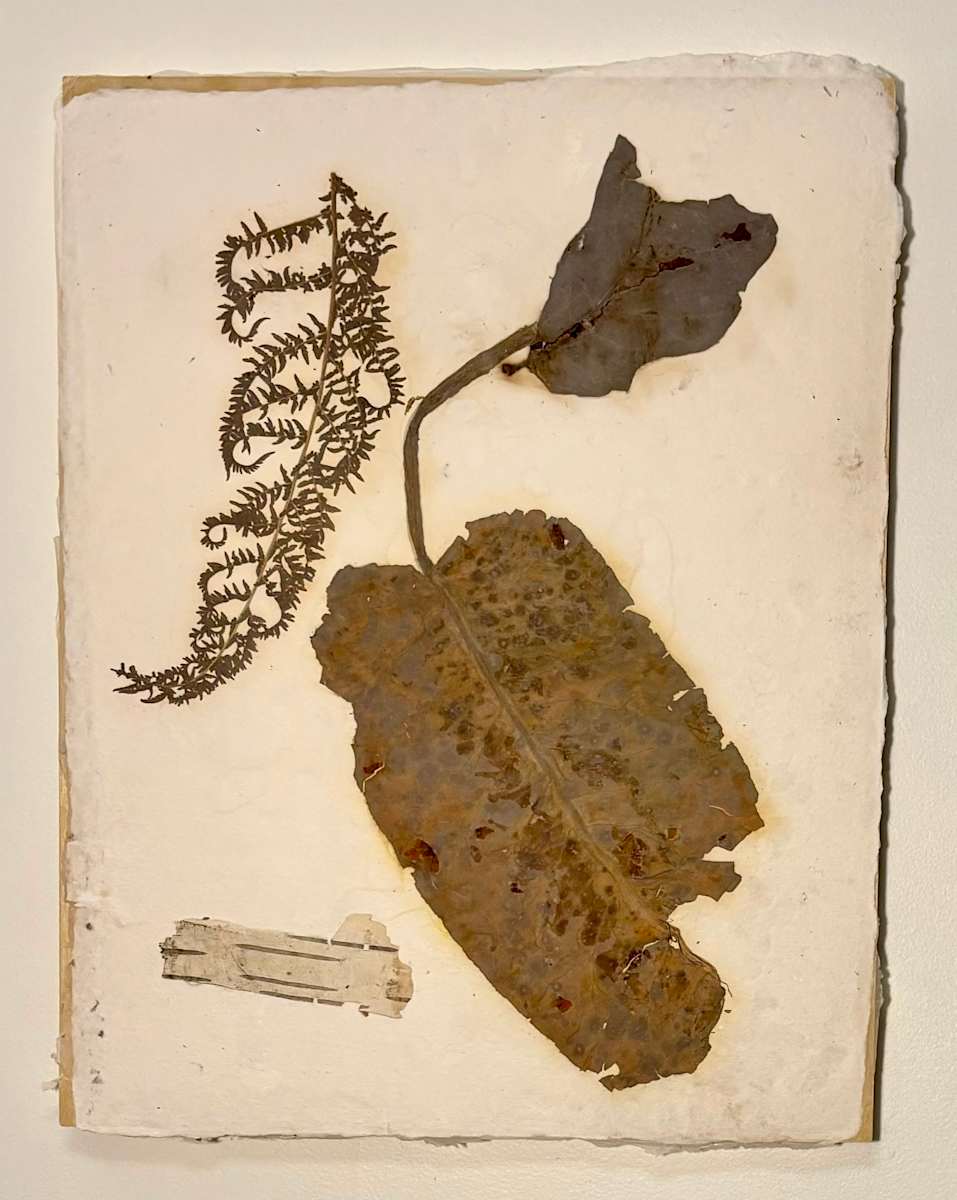 Nature Glimmers XI by GG Stankiewicz 