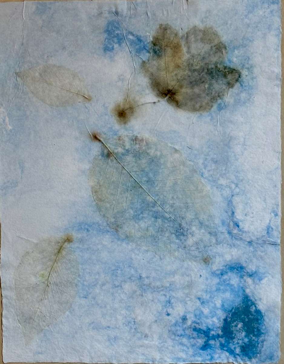 Nature Glimmers III by GG Stankiewicz 