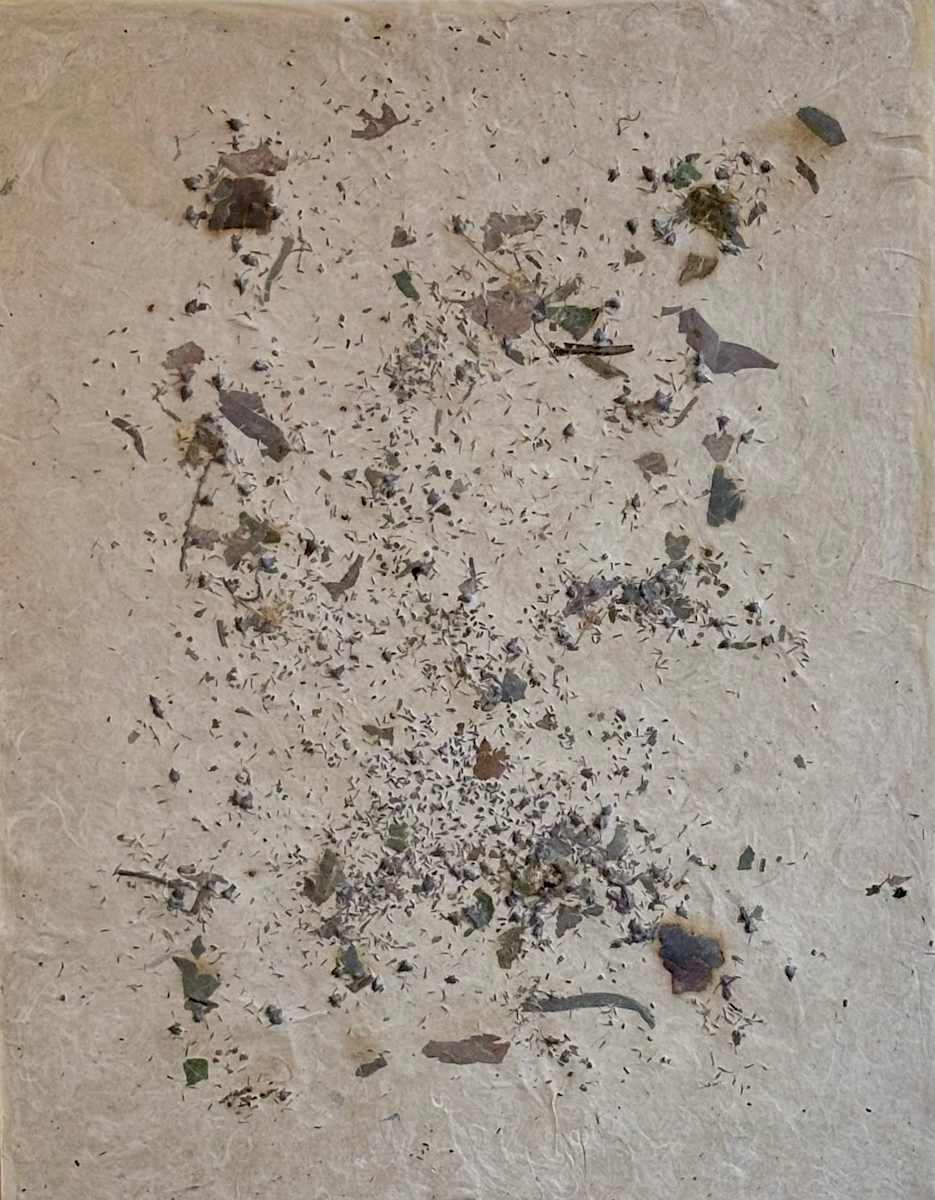 Nature Glimmers IV by GG Stankiewicz 