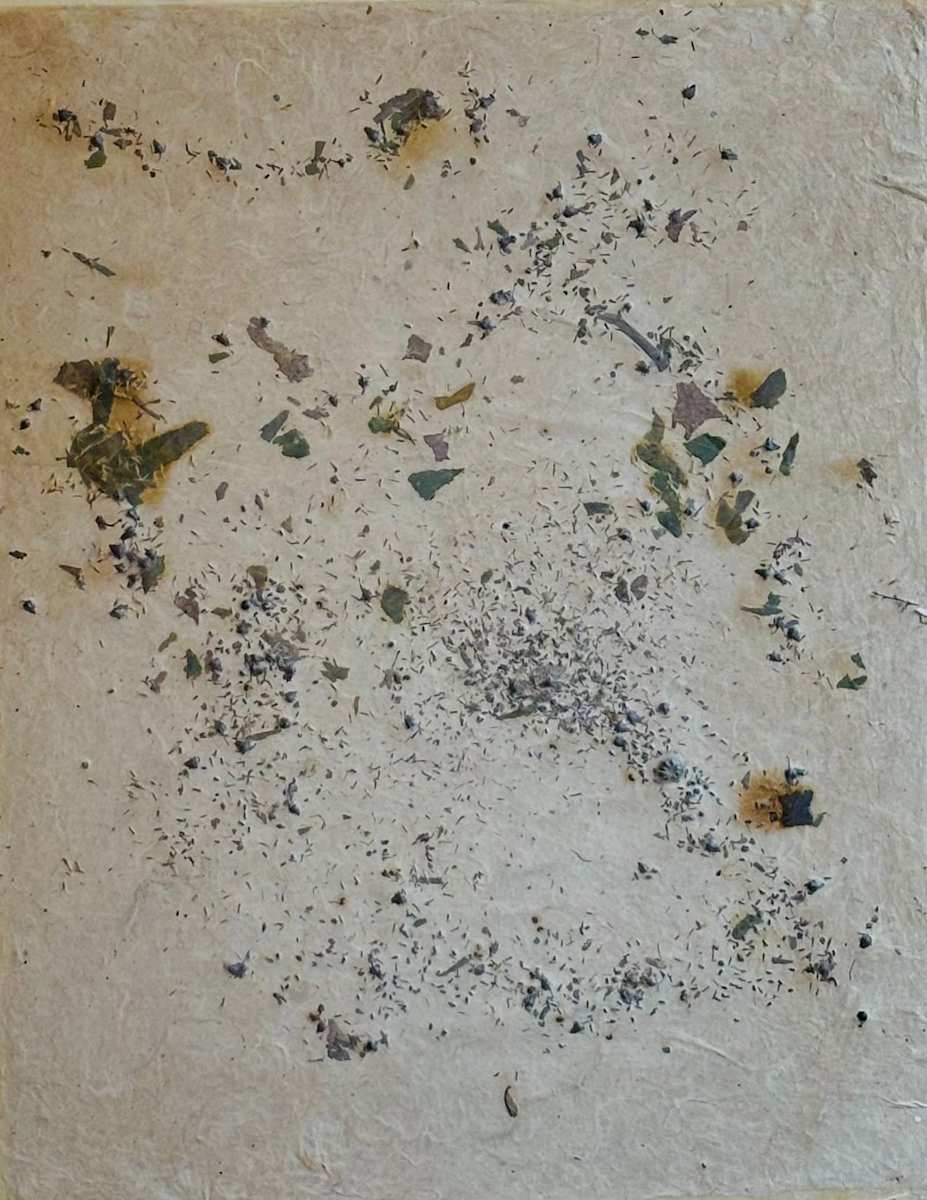 Nature Glimmers IX by GG Stankiewicz 