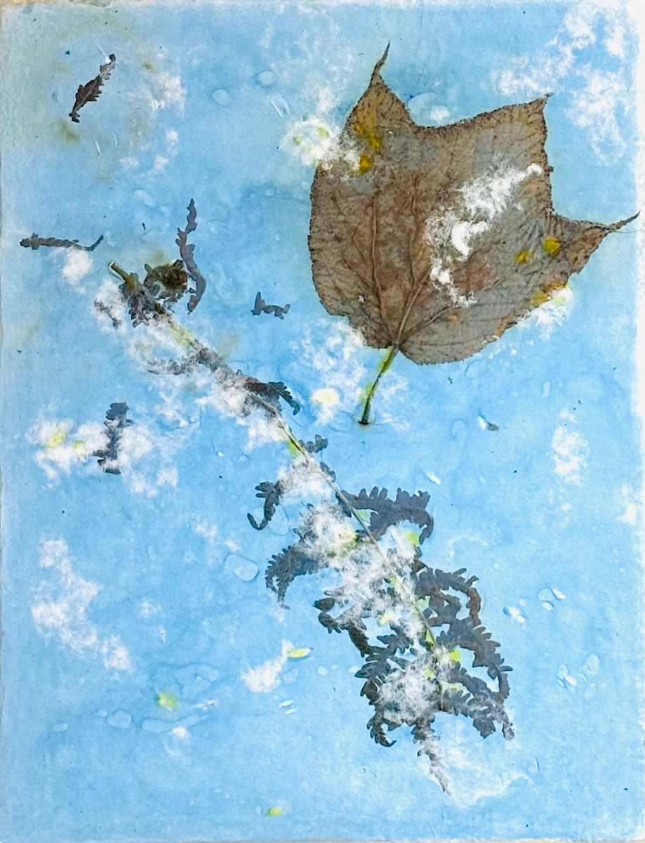 Nature Glimmers X by GG Stankiewicz 