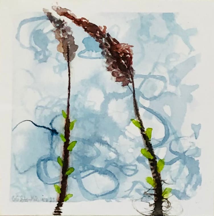 Soft Meadow Sweet Trilogy I by GG Stankiewicz 