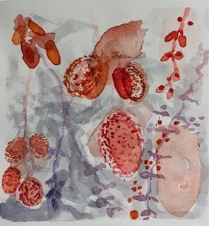 Winterberry Study I by GG Stankiewicz 