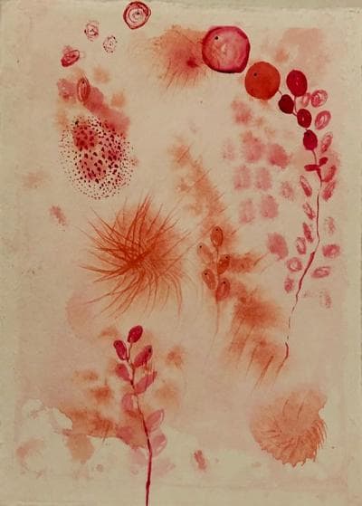 Winterberry I by GG Stankiewicz 