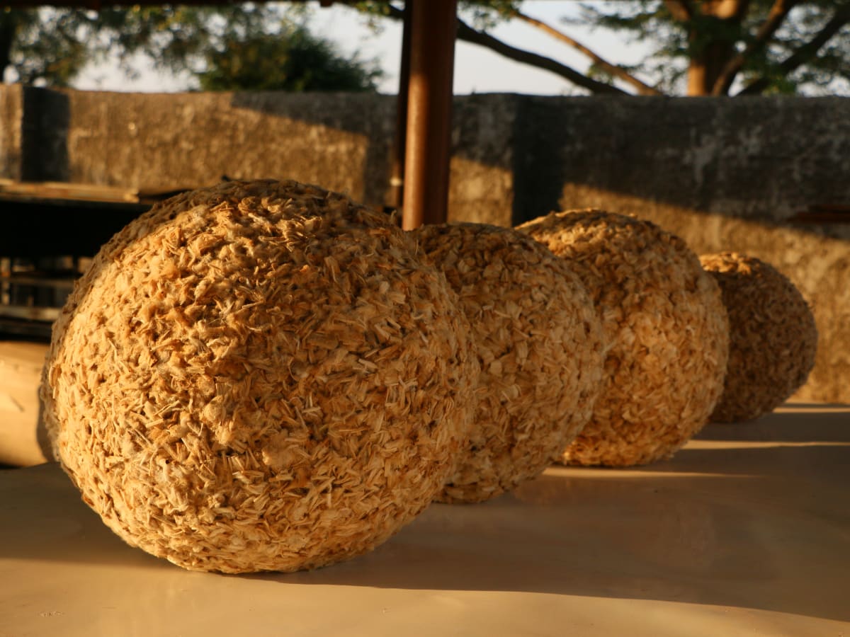 Anya-‘ri Umunne by Amarachi Okafor (Orie) 