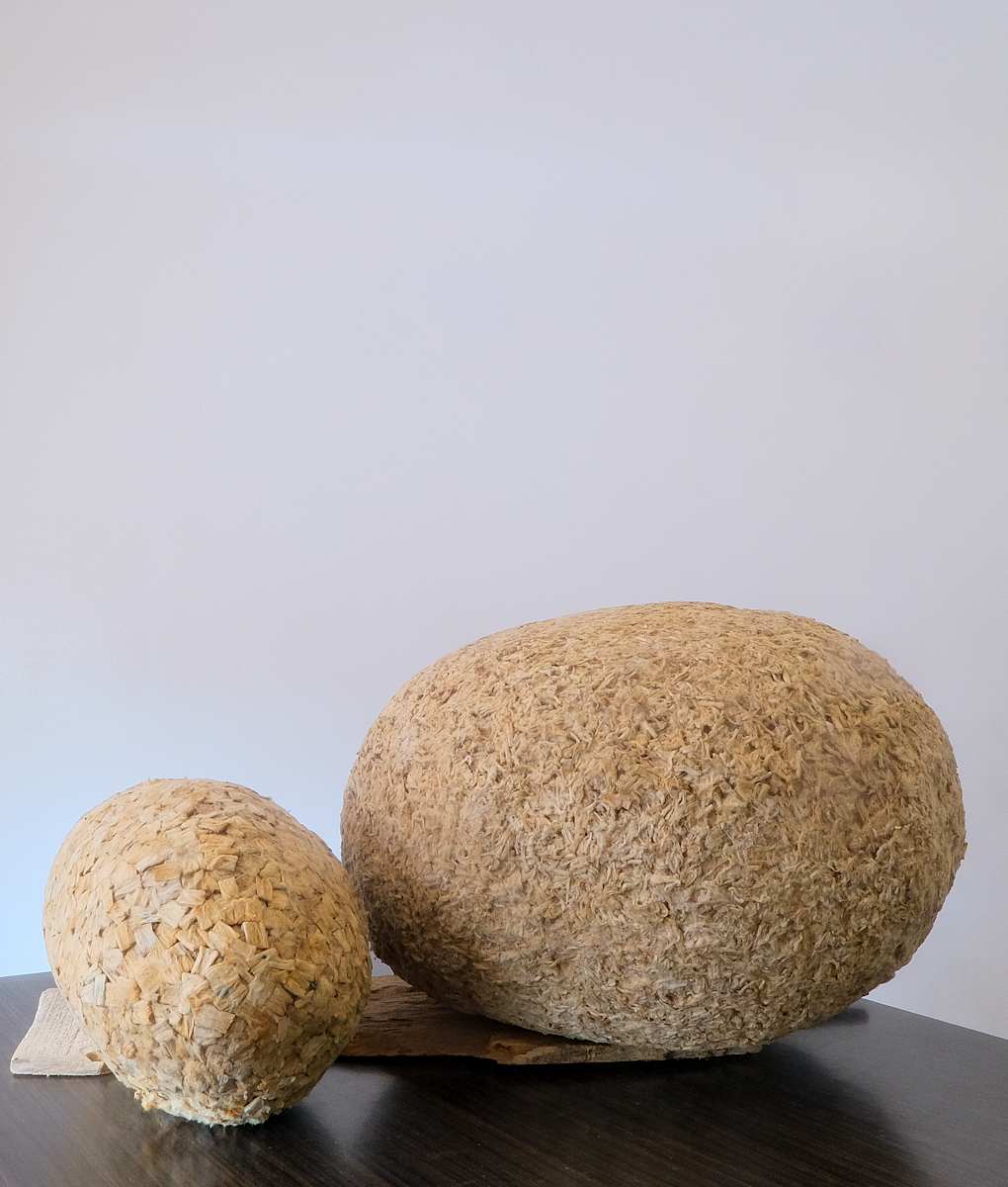 Doughnut and Egg by Amarachi Okafor (Orie) 