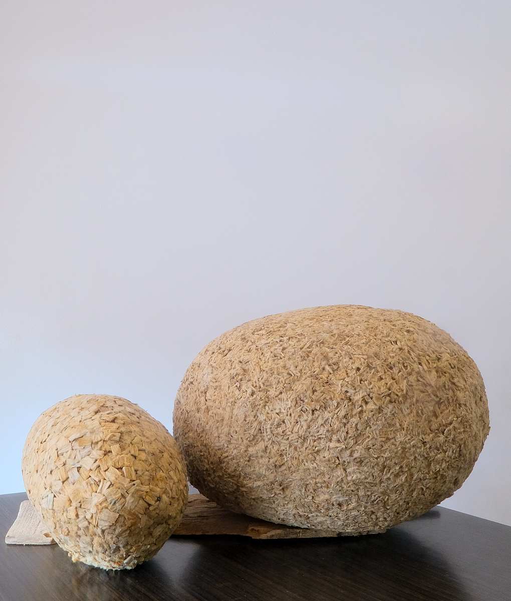 Doughnut and Egg by Amarachi Okafor (Orie), Image 2.