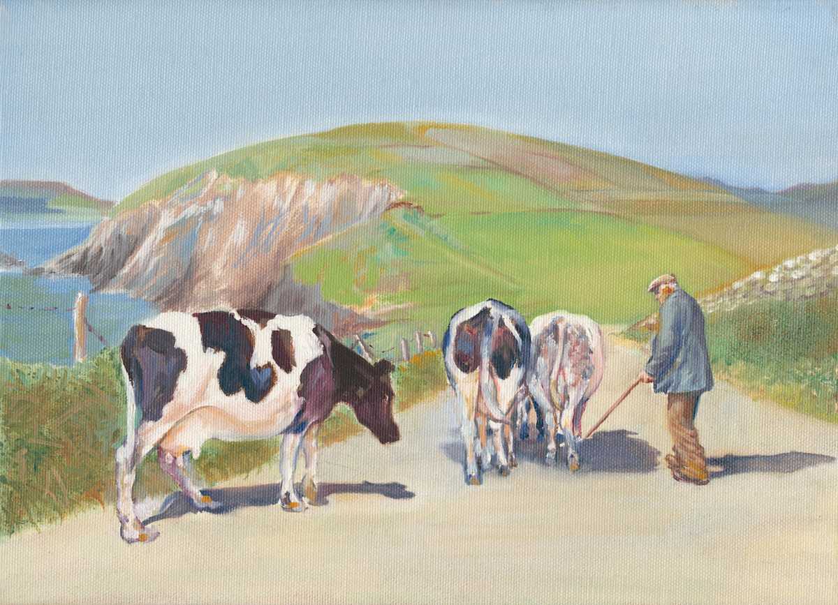 DINGLE COWS, Image 2.
