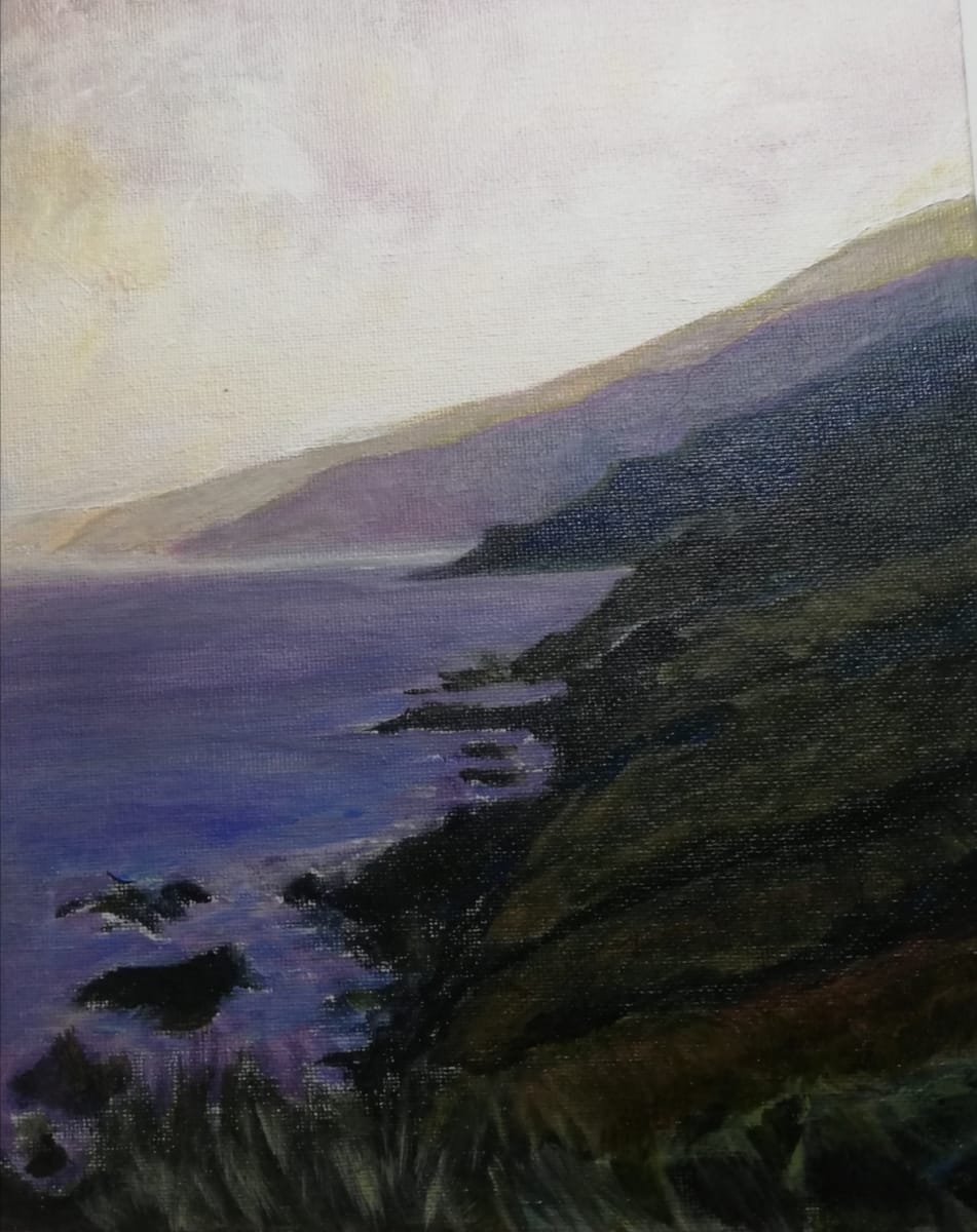 SLEA HEAD COASTLINE, EIRE. by Catherine Stringer 