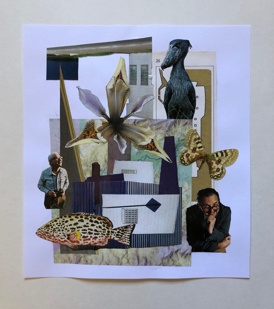 Easily Amused by Cathie Haab, Image 1.