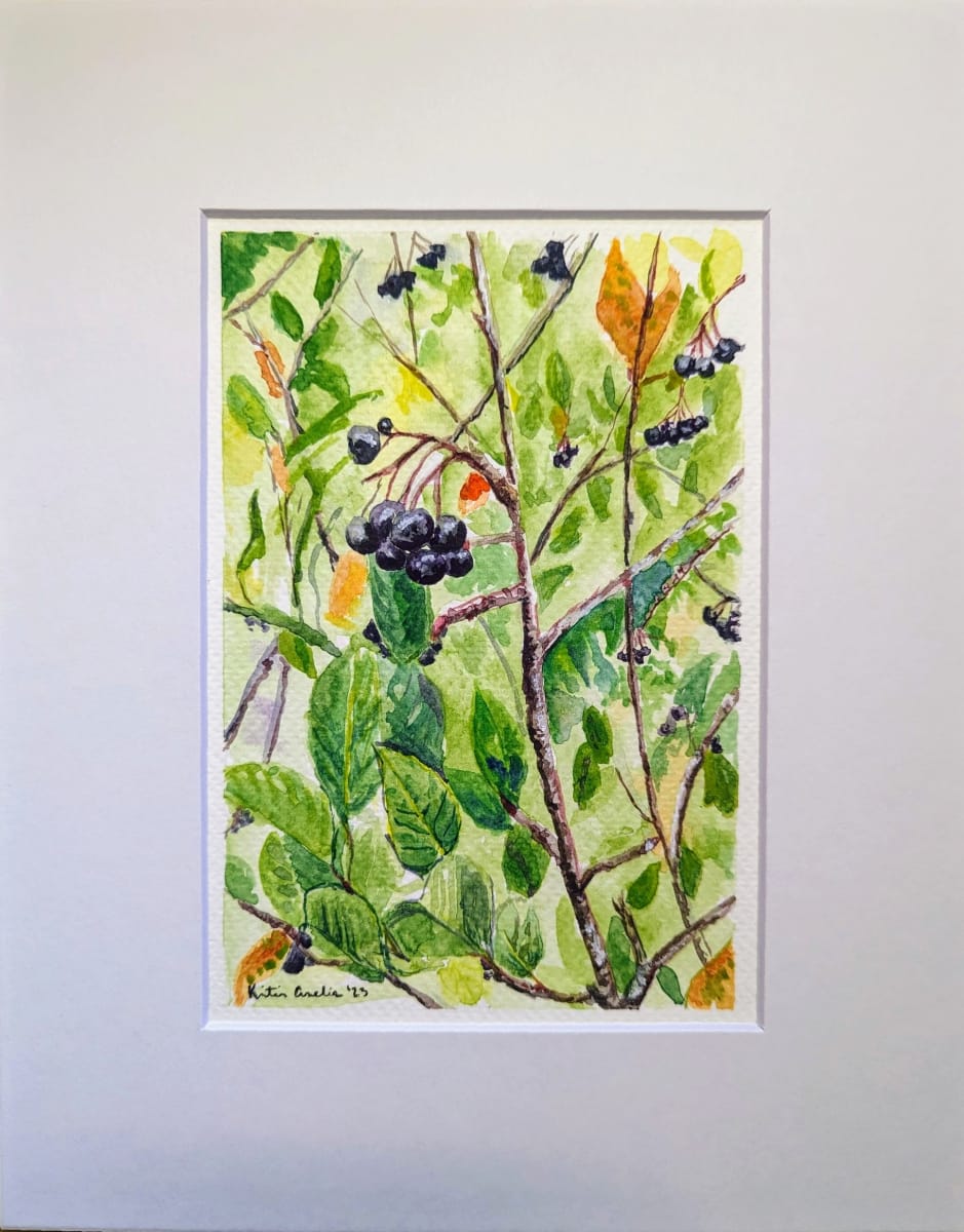 Aronia Berry Portrait by Kristin Amelia 