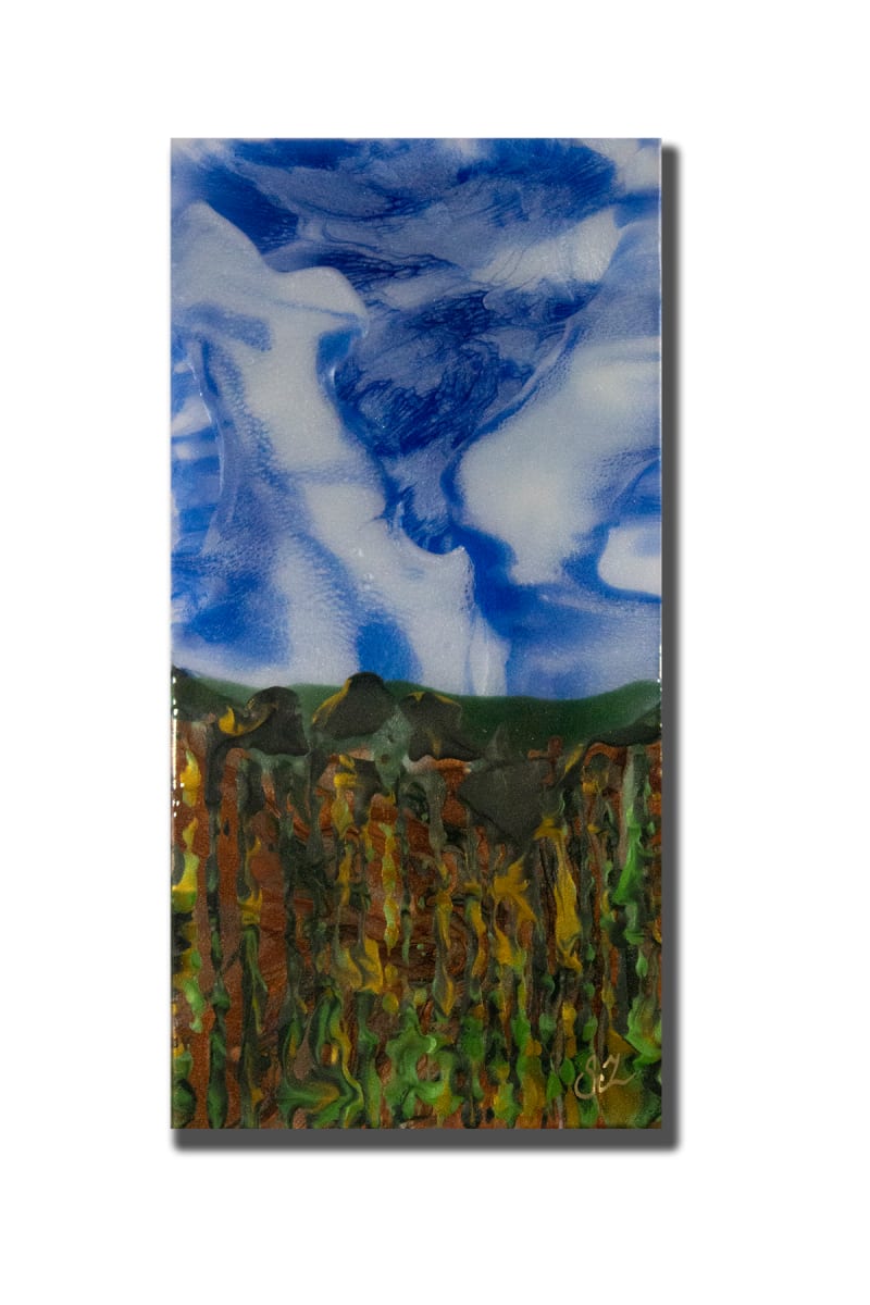 Farm Sky by Sarah Zobrist 