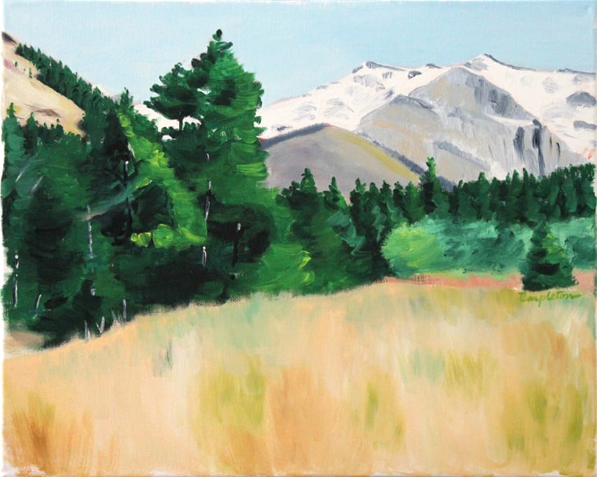 Glacier Meadow by Dave Templeton 