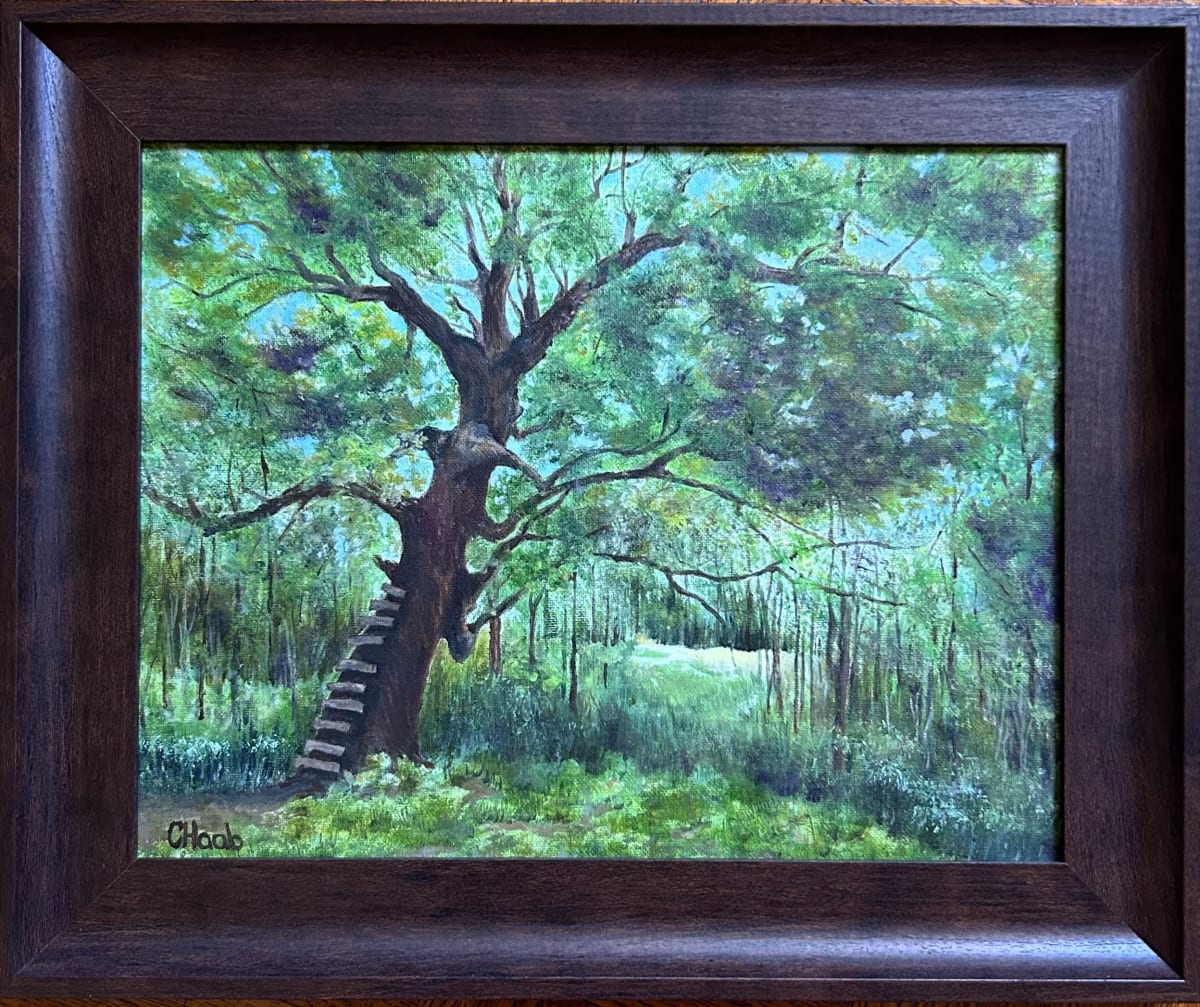 Climbing Tree at Sugar Grove by Cathie Haab 