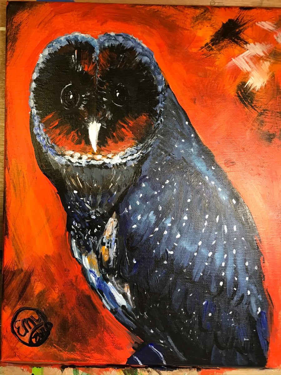 Portrait of a Black Barn Owl by Eileen Backman 