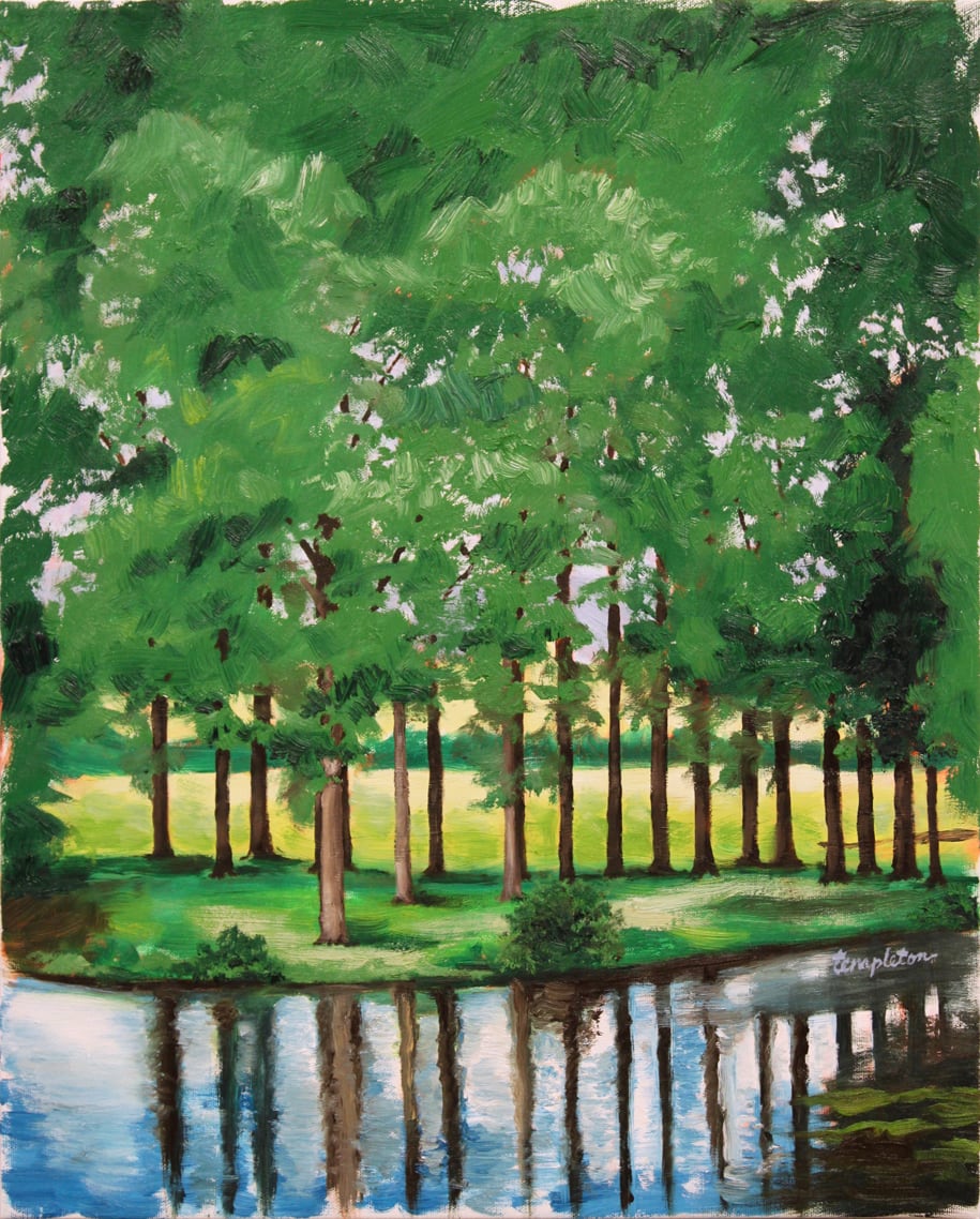 The Meadow Beyond the Trees by Dave Templeton 