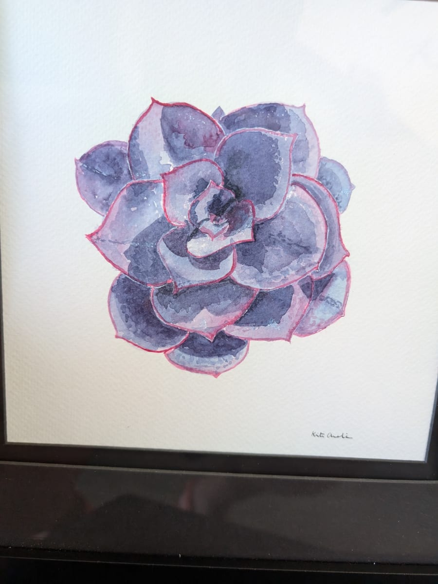 Purple Echeveria by Kristin Amelia, Image 1.