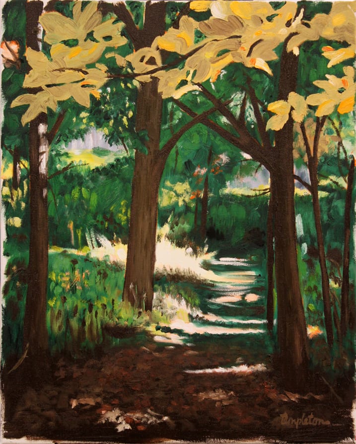 Parklands Pathway by Dave Templeton 