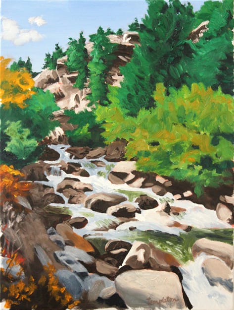 Rocky Mountain Stream by Dave Templeton 
