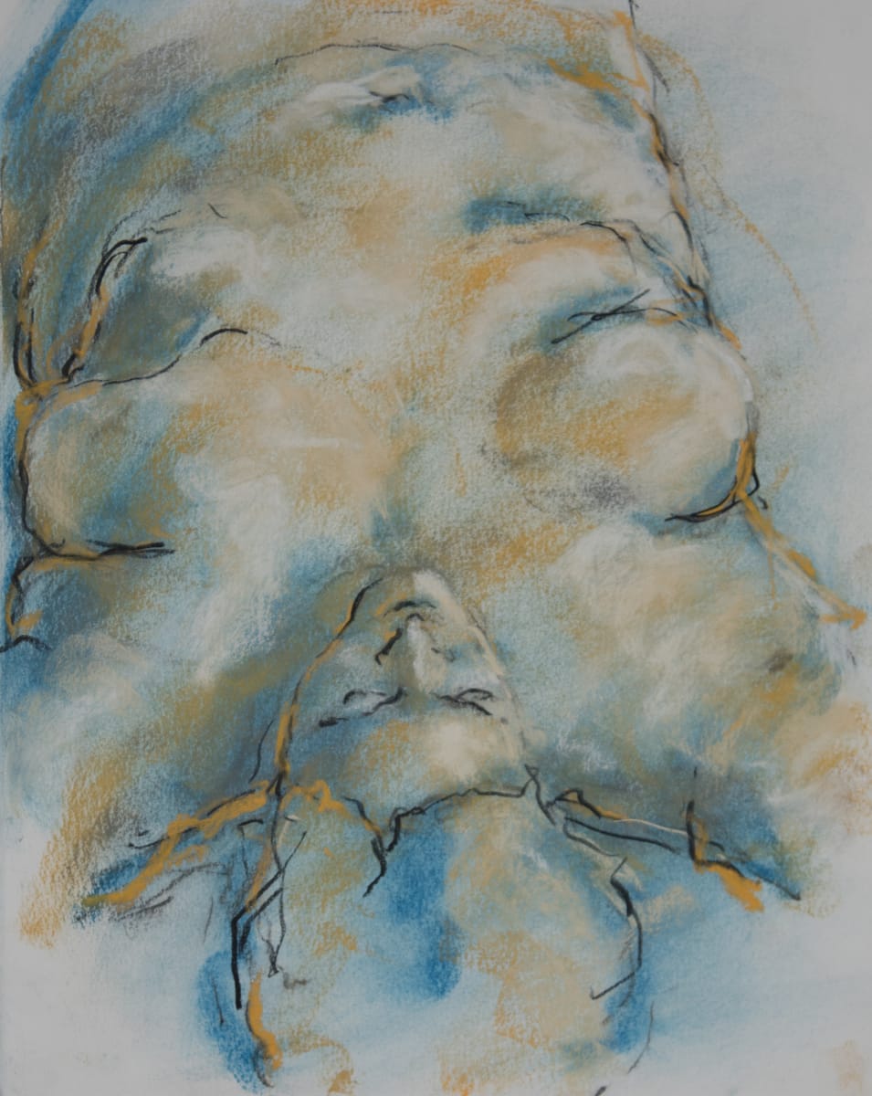 Emily Short Pose 14 by Brian K Simpson 