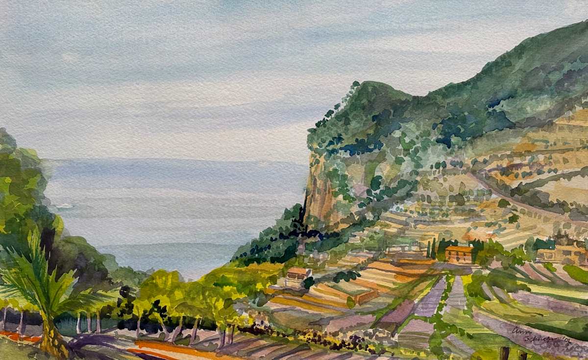 Mediterranean Overlook by Ann Schaefer 