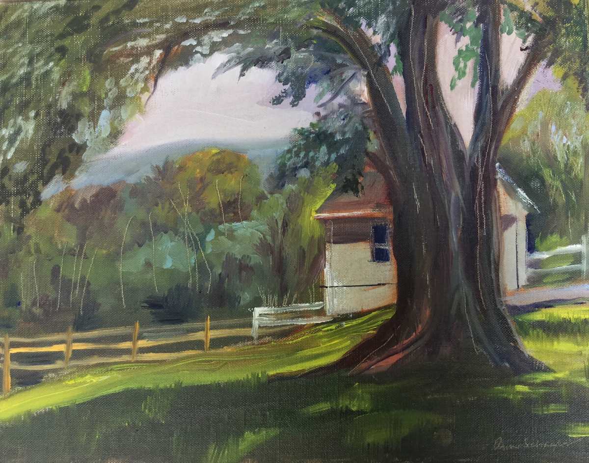Braddock Heights Shade by Ann Schaefer 