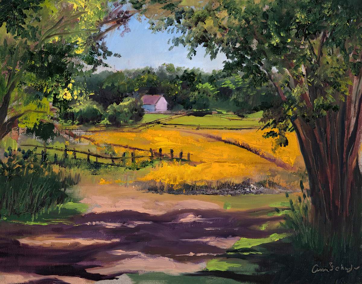 Golden Fields by Ann Schaefer 