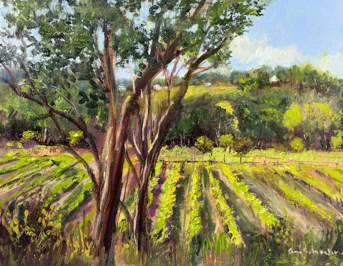 River Valley View by Ann Schaefer 