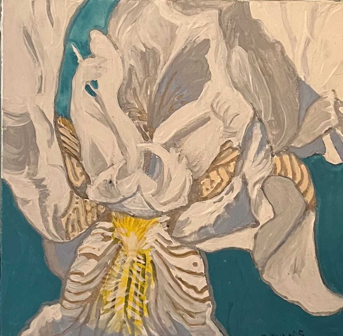 Caitlin's Iris by Jamie Downs 