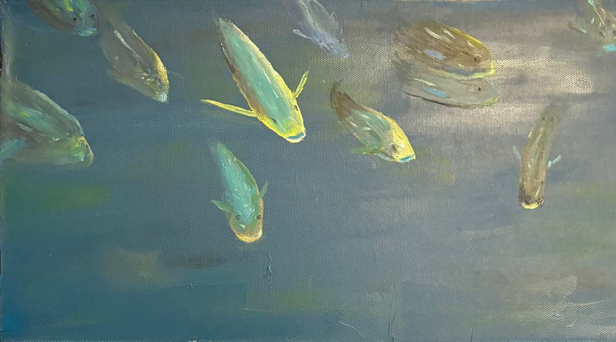 Fish Rising by Jim Hoehn 
