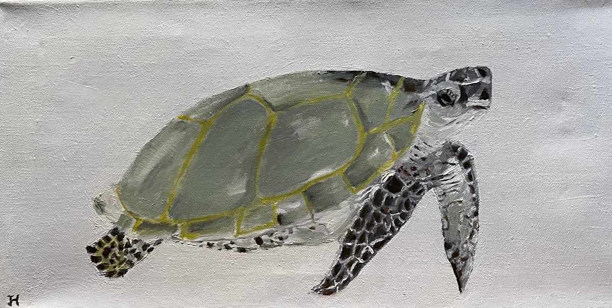 Turtle by Jim Hoehn 