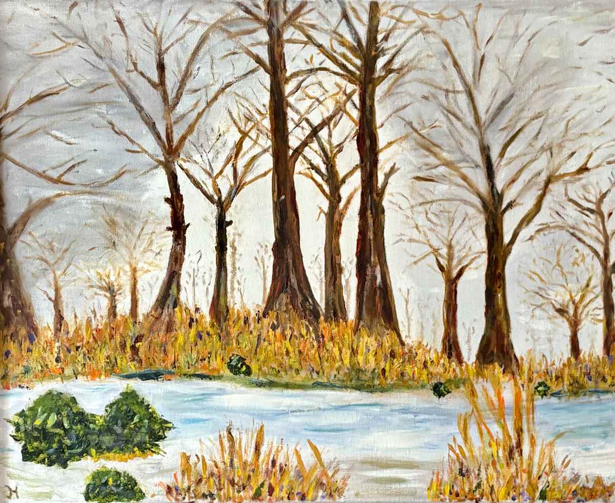 Winter Forest by Jim Hoehn 