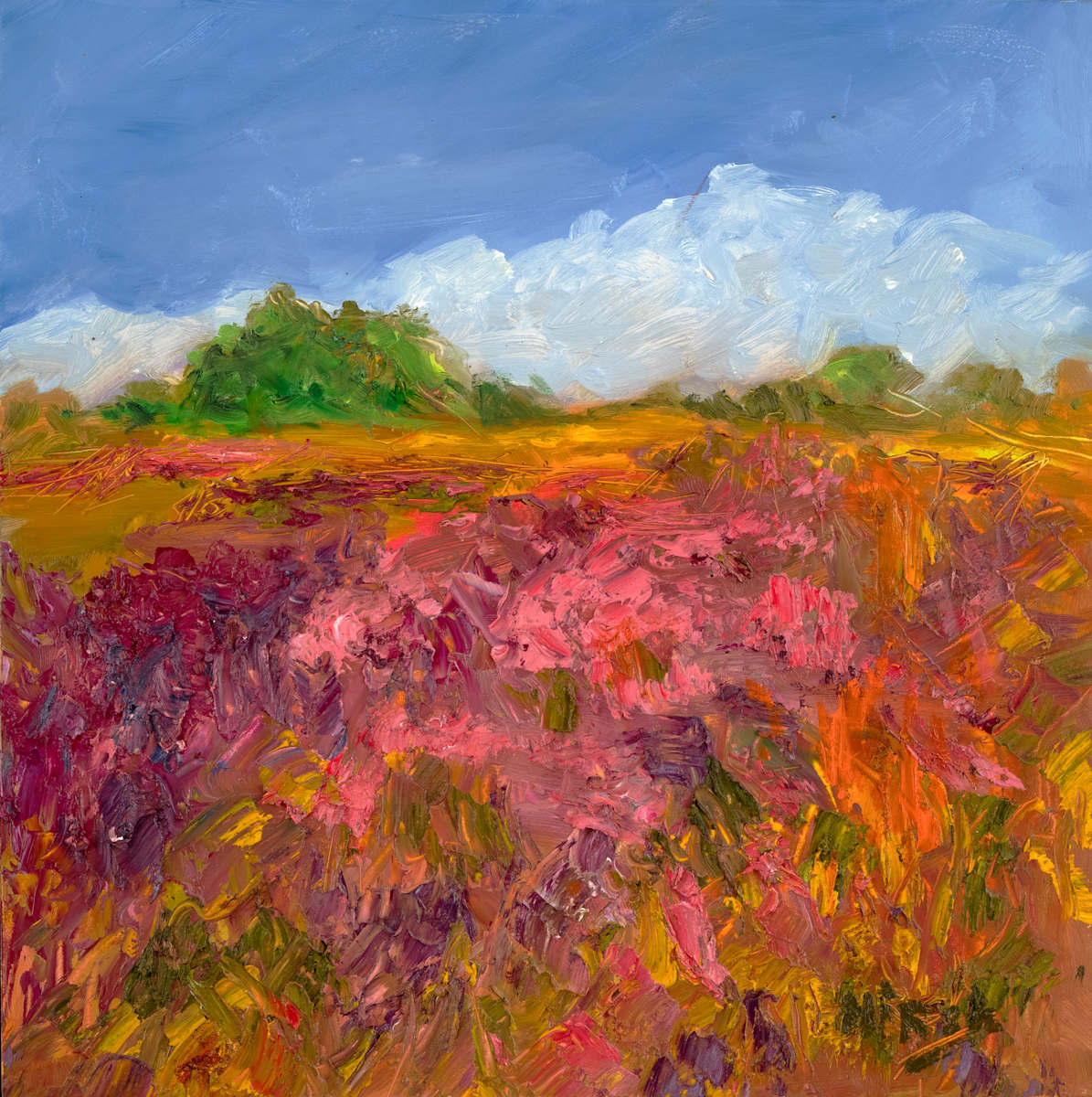 Field with Blossoms by Cathy Hirsh, Image 1.