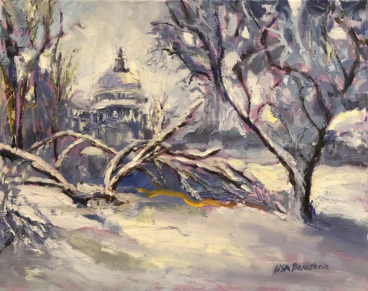 Frozen Congress by Lisa Bernstein, Image 1.