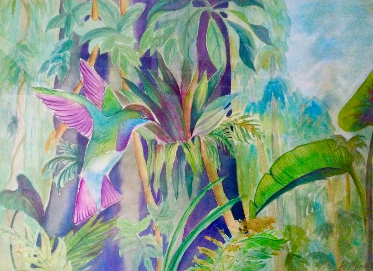 Hummingbird by Barbara Mandel, Image 1.