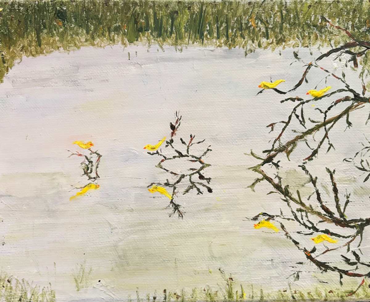 Yellow Birds On Calm Pond by Jim Hoehn 
