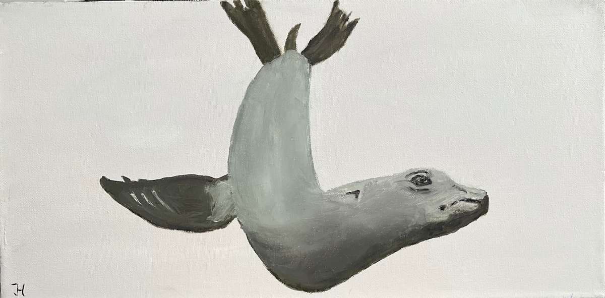 Seal by Jim Hoehn 