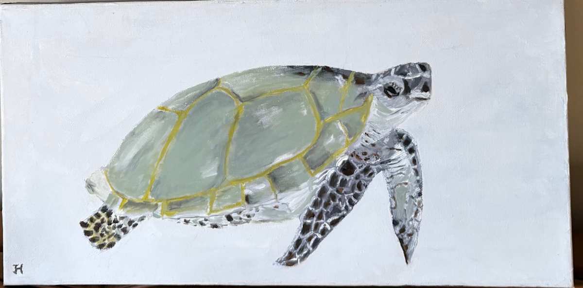 Hawaiian Turtle by Jim Hoehn, Image 1.