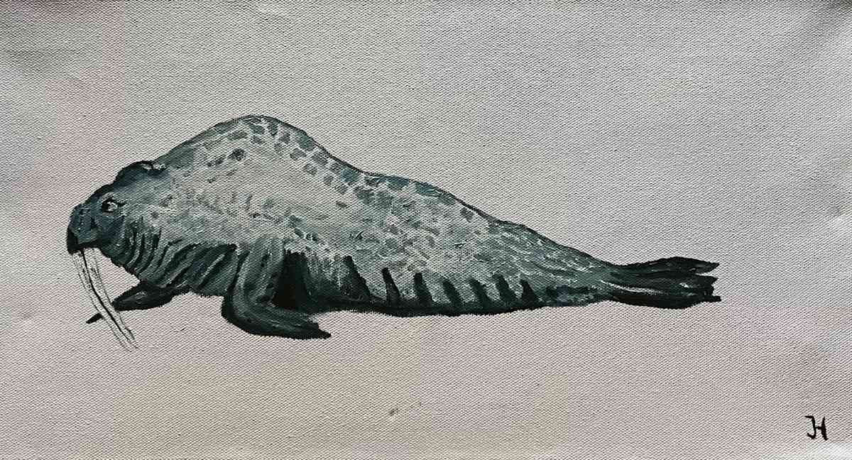 Walrus by Jim Hoehn, Image 1.