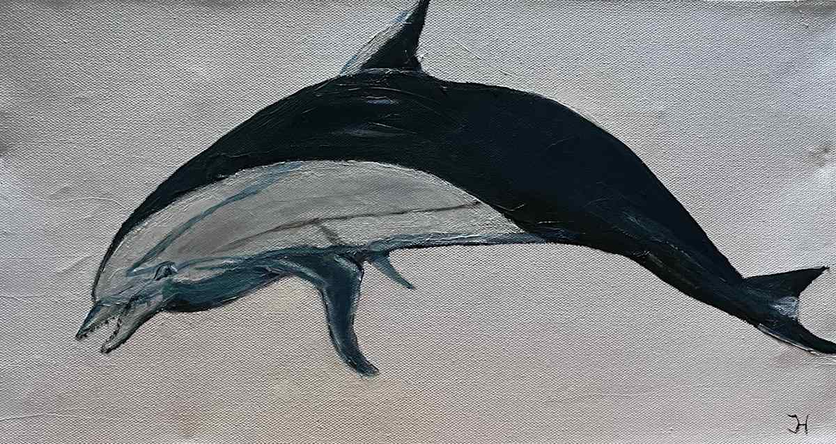 Dolphin by Jim Hoehn, Image 1.