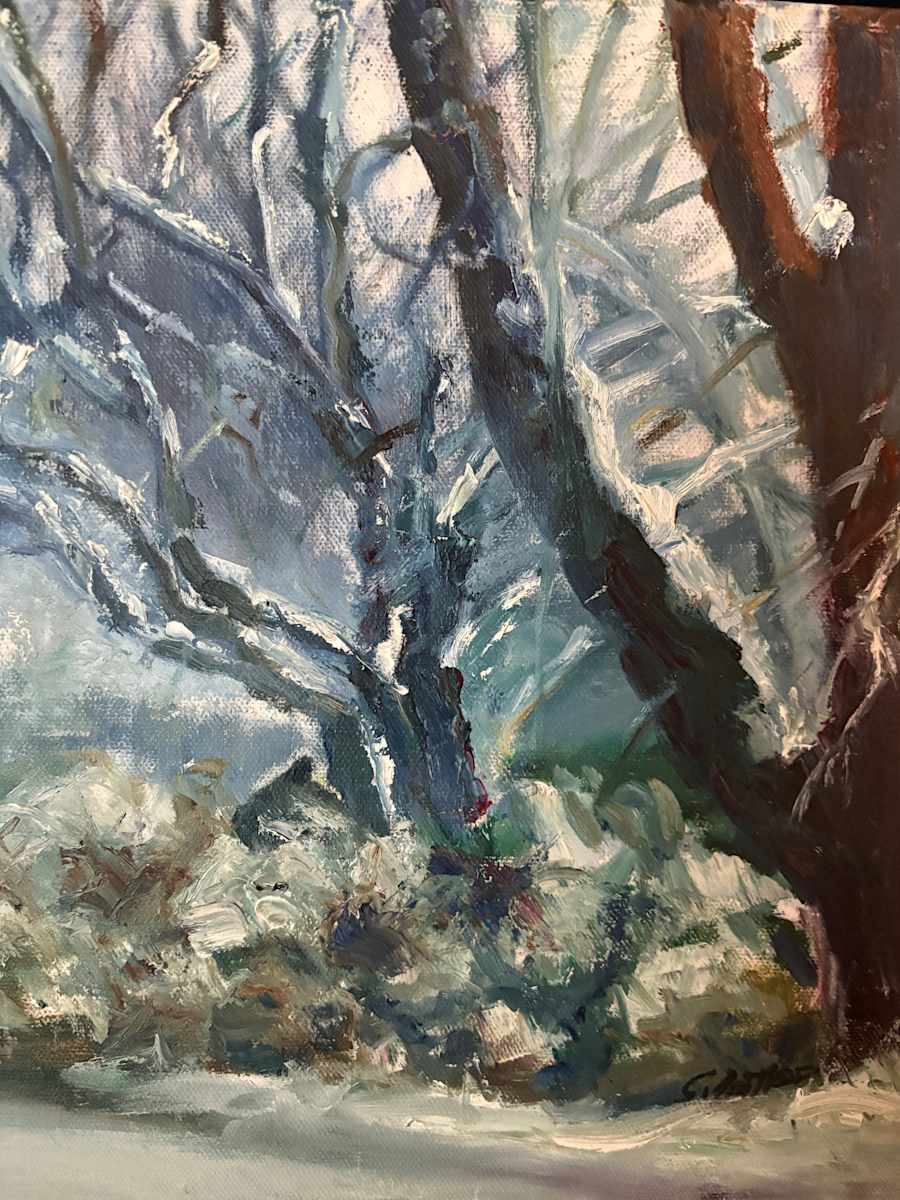 Snow no more. by Sandra Fritter, Image 1.