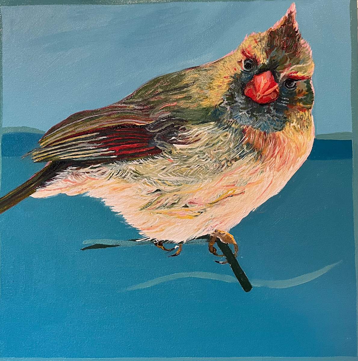 Female Cardinal on Teal by Jamie Downs 