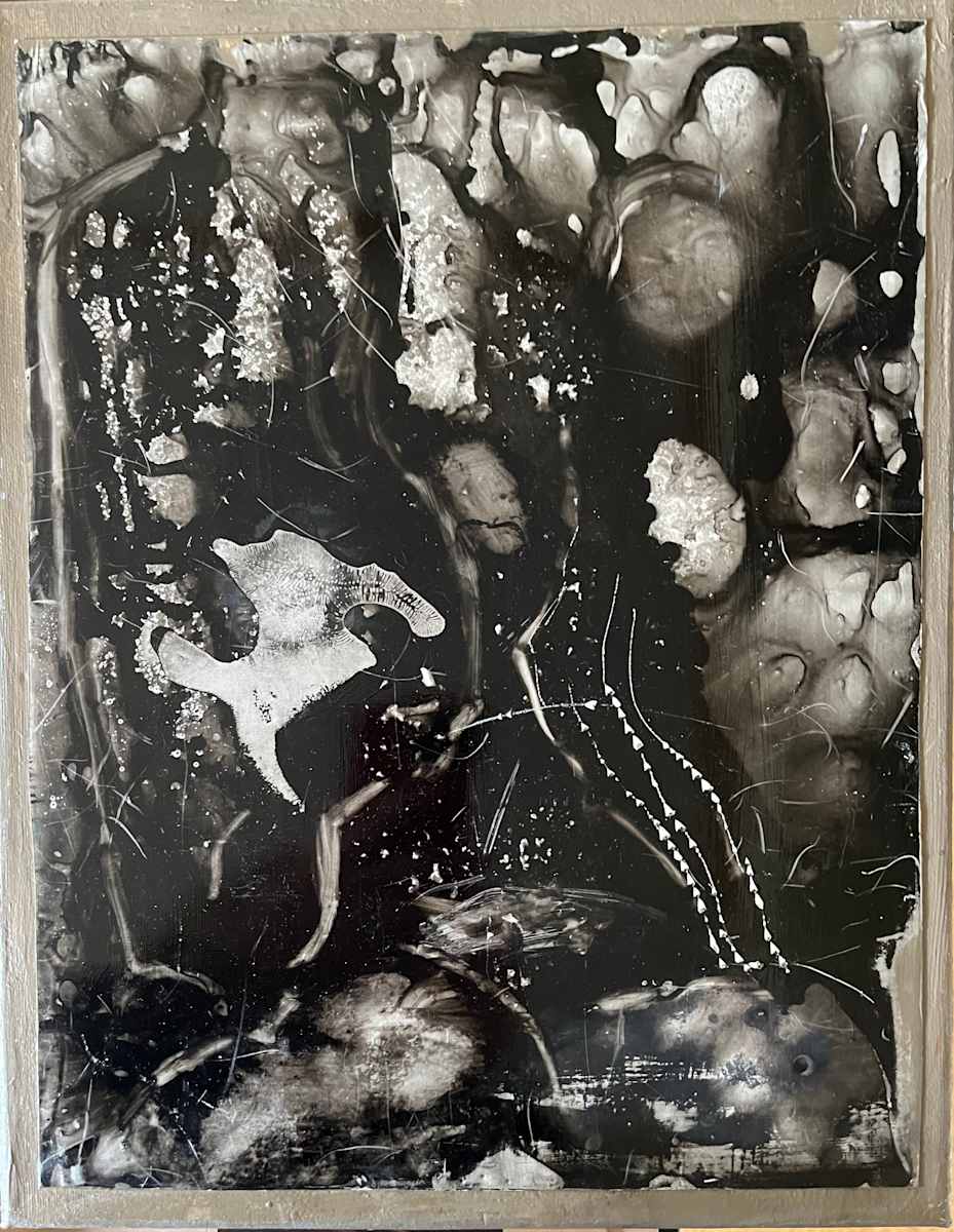 Creatures under the Sea by Marcia Bhorjee 