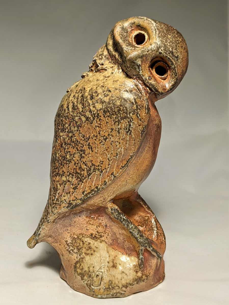 Burrowing Owl by Nancy Jakubowski, Image 1.