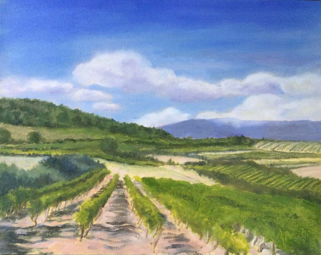 Loire Valley Vineyard by Barbara Mandel 
