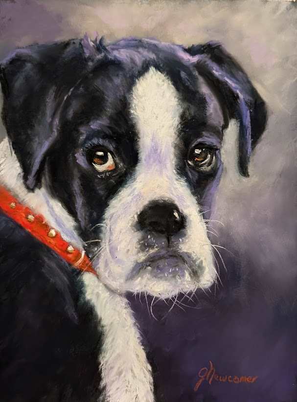 I Didn't Do It! by Grace Newcomer, Image 1.