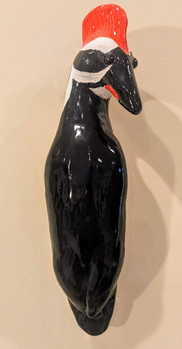Pileated Woodpecker by Nancy Jakubowski 