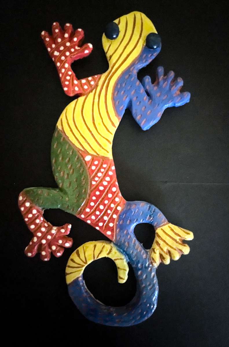 Salamander 2 by Nancy Jakubowski 