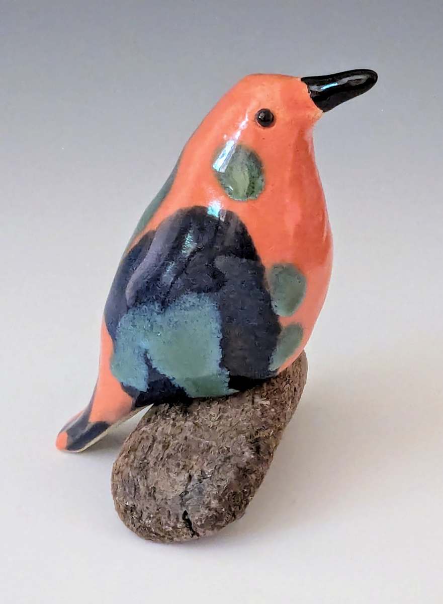 Orange Bird by Nancy Jakubowski 