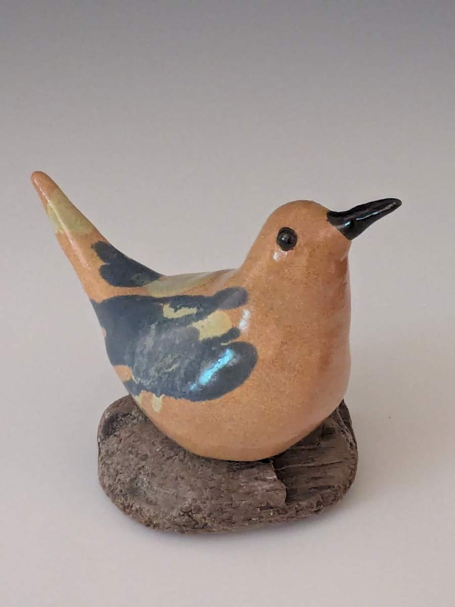 Golden Bird by Nancy Jakubowski 